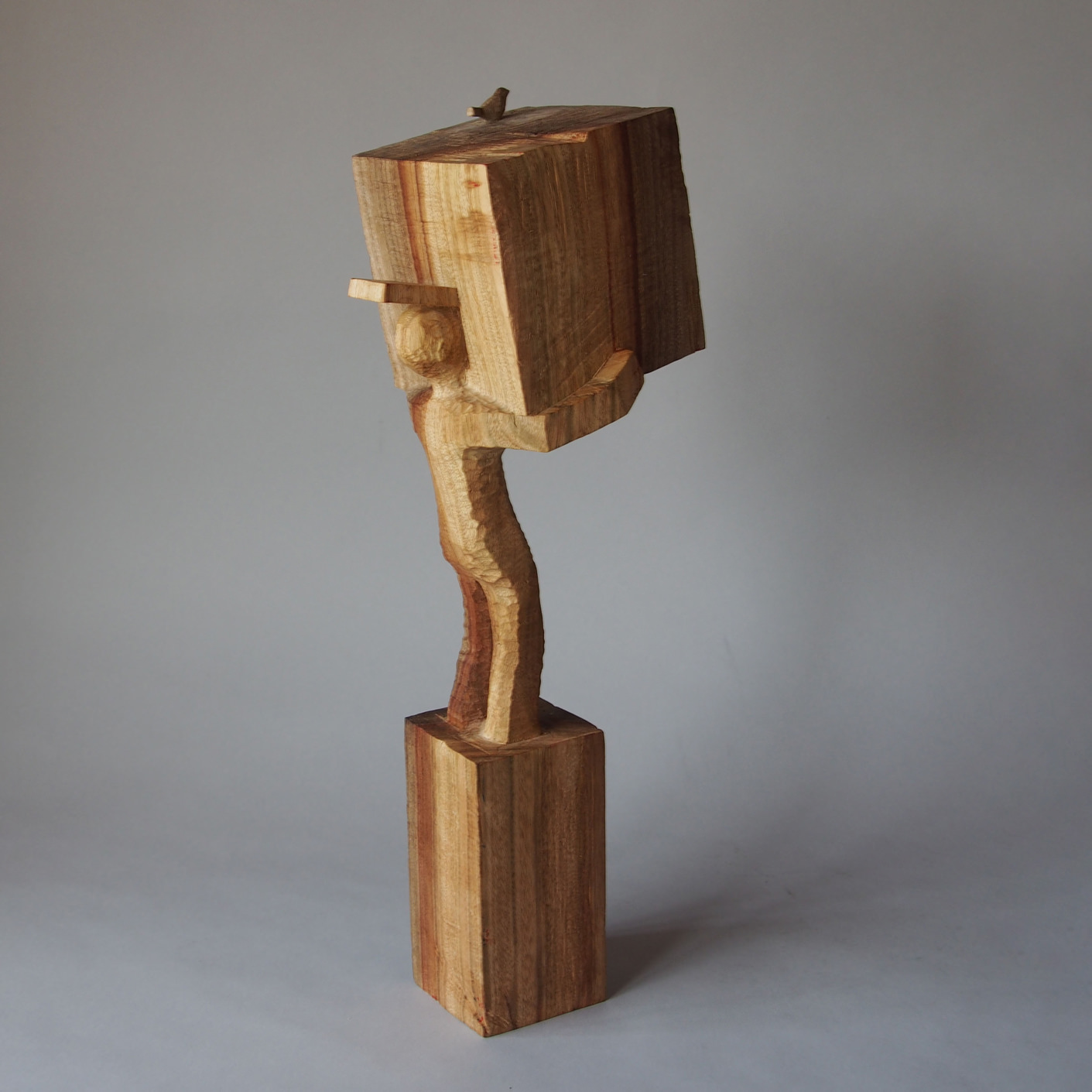 冬越しの箱をのぞく